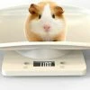 SmartImprove - Digitale Dierenweegschaal - Mini - Voedselweegschaal Voor Huisdieren Met LCD - Scherm - 4 Weegmodi (oz / Ml / Lb / G) Voor Huisdieren En Keuken Kleine Katten Meten - Honden - Voer - Capaciteit Tot 10 Kg / 22lb -Medisana Sales 550x312 2