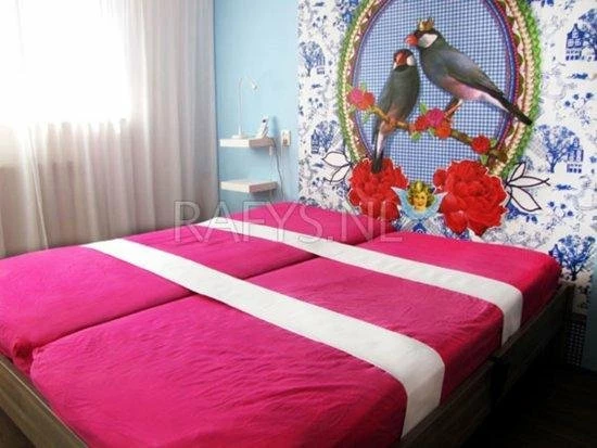 Matrassen Spanband L Rafys Matrassen Spanband L -Medisana Sales 550x413 4